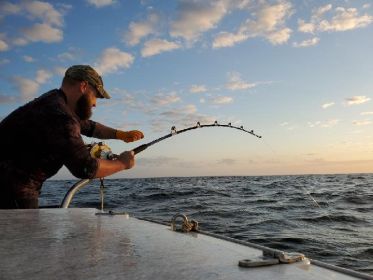 Chatham 7'10" - 130#+ Trolling/ Live Bait