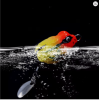 2.5cm/3g Mini Thunder Frog Soft Fishing Lures Artificial Bait Fishing Wobbler Silicone Baits with Metal Glitter Frog Lure Trout