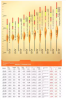 2025 New Shallow Water Fishing Floats