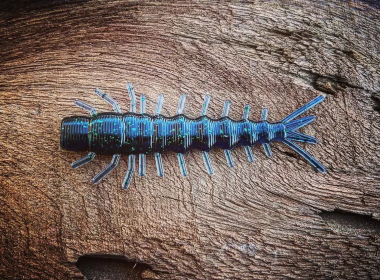The Benedict (Color: Grapeshot (Junebug), size: 3)