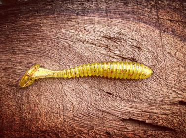 Minutemen (Color: American Caesar (Perch))