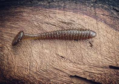 Minutemen (Color: Pine Tree Shilling (Golden Shiner))