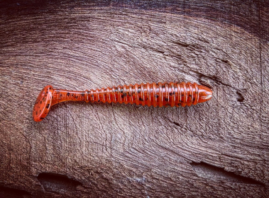 Minutemen (Color: Tribe Oneida (Fire Craw))