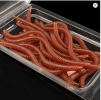 20Pcs Simulation Earthworm