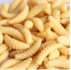 50pcs Lua Soft Bait Fake