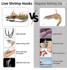 9KM Live Shrimp Hooks 10~15Pcs Double Hook Live Shrimp Holder Hook Corrosion Resistant for Saltwater Freshwater (size: Size1-0)