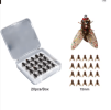 Bionic Fly Fishing Bait(20PCS)