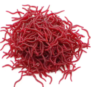 50/100PCS Soft Lure Bass Bream Bloodworm (Color: 50pcs)