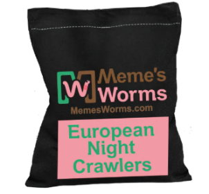 European night crawlers (size: 4oz)