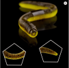 CCLTBA Worm Soft Bait 9.8cm 13.8cm Silicone Fishing Lures 15pcs 10pcs/bag Earthworm Soft Lures Tackle