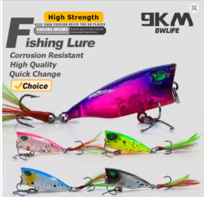 Minnow Lures Popper Set (Color: Size B 4.3cm 5g)