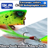 Minnow Lures Popper Set
