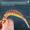 MEREDITH Larva Soft Lures